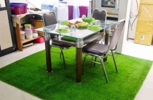 Phải biết điều này trước khi thi công cỏ nhân tạo giá gốc sân vườn Phải biết điều này trước khi thi công cỏ nhân tạo giá gốc sân vườn