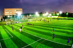 Sân bóng cỏ nhân tạo phát triển mạnh ở Bình Định Sân bóng cỏ nhân tạo phát triển mạnh ở Bình Định