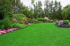 Có nên tự thi công cỏ nhân tạo giá rẻ sân vườn?