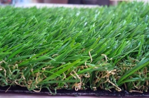 Những kiến thức cơ bản về cỏ nhân tạo giá rẻ Những kiến thức cơ bản về cỏ nhân tạo giá rẻ