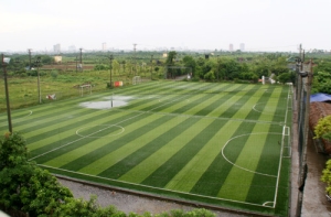 Sức hút từ sân bóng đá cỏ nhân tạo tại Hậu Giang Sức hút từ sân bóng đá cỏ nhân tạo tại Hậu Giang