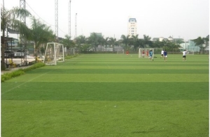 Các sân bóng cỏ nhân tạo thu hút giới trẻ ở Hà Nội Các sân bóng cỏ nhân tạo thu hút giới trẻ ở Hà Nội