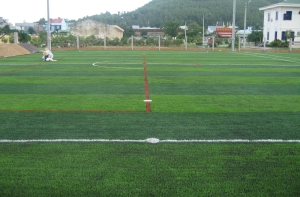 Bán cỏ nhân tạo giá rẻ nhất thị trường hiện nay? Bán cỏ nhân tạo giá rẻ nhất thị trường hiện nay?