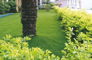 Cỏ nhân tạo giá gốc rẻ nhất năm 2016 Cỏ nhân tạo giá gốc rẻ nhất năm 2016