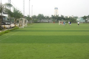 Mô hình thi công sân bóng đá cỏ nhân tạo ở Vĩnh Long Mô hình thi công sân bóng đá cỏ nhân tạo ở Vĩnh Long