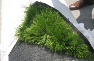 Thi công sân cỏ nhân tạo dễ hay khó? Thi công sân cỏ nhân tạo dễ hay khó?