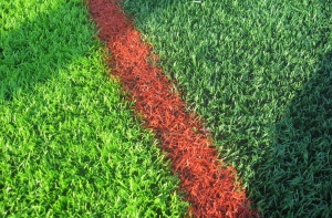 Những ứng dụng của cỏ nhân tạo có thể bạn chưa biết Những ứng dụng của cỏ nhân tạo có thể bạn chưa biết