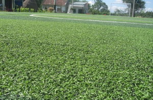 Làm sao để kinh doanh sân cỏ nhân tạo thành công? Làm sao để kinh doanh sân cỏ nhân tạo thành công?