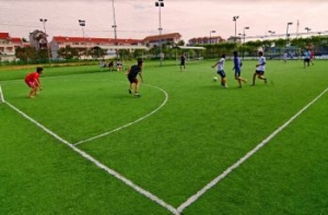 Mới đầu vào hè dịch vụ cho thuê sân cỏ nhân tạo đã cháy hàng Mới đầu vào hè dịch vụ cho thuê sân cỏ nhân tạo đã cháy hàng