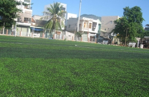 Những lưu ý cần biết trước khi kinh doanh sân cỏ nhân tạo Những lưu ý cần biết trước khi kinh doanh sân cỏ nhân tạo