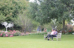 Những mảng tường xanh cỏ nhân tạo chất lượng Những mảng tường xanh cỏ nhân tạo chất lượng