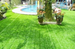 Cỏ nhân tạo sân vườn cho trường mầm non Cỏ nhân tạo sân vườn cho trường mầm non