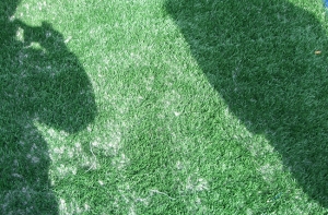 Cỏ nhân tạo giá rẻ đáp ứng tối đa nhu cầu của người dùng Cỏ nhân tạo giá rẻ đáp ứng tối đa nhu cầu của người dùng