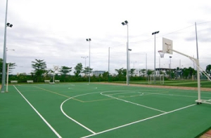 Cỏ nhân tạo sân bóng bổ - Những lưu ý khi chọn mua Cỏ nhân tạo sân bóng bổ - Những lưu ý khi chọn mua