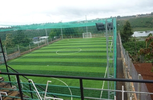 Khám phá những nét bí ẩn trong cái tên sân cỏ nhân tạo Khám phá những nét bí ẩn trong cái tên sân cỏ nhân tạo