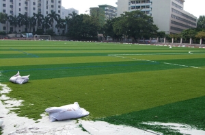 Tìm hiểu sự ra đời của những công trình xanh từ cỏ nhân tạo Tìm hiểu sự ra đời của những công trình xanh từ cỏ nhân tạo