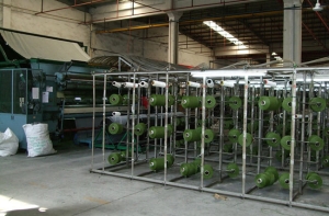 Bức tranh cuộc sống mang màu xanh hy vọng với cỏ nhân tạo Bức tranh cuộc sống mang màu xanh hy vọng với cỏ nhân tạo