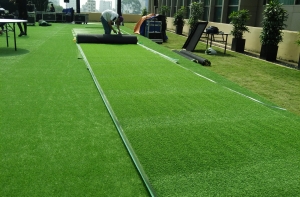 Mua cỏ nhân tạo trang trí chất lượng Mua cỏ nhân tạo trang trí chất lượng