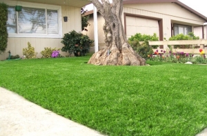 Những vấn đề cần lưu ý khi thi công cỏ nhân tạo sân vườn Những vấn đề cần lưu ý khi thi công cỏ nhân tạo sân vườn