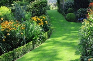 Vệ sinh cỏ nhân tạo và vài lưu ý để vừa sạch vừa bền Vệ sinh cỏ nhân tạo và vài lưu ý để vừa sạch vừa bền