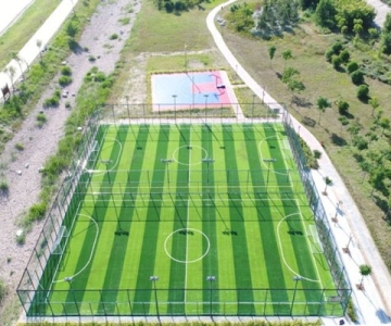 Đầu tư cỏ nhân tạo tránh đốt tiền Đầu tư cỏ nhân tạo tránh đốt tiền