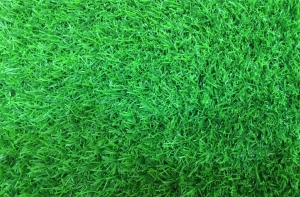 Chọn mua cỏ nhân tạo và những sai lầm cần tránh Chọn mua cỏ nhân tạo và những sai lầm cần tránh