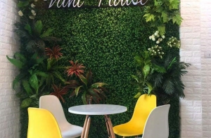 Hướng dẫn vài mẹo chọn cỏ nhân tạo dán tường cho văn phòng Hướng dẫn vài mẹo chọn cỏ nhân tạo dán tường cho văn phòng