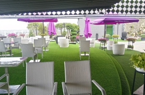 Lựa chọn cỏ nhân tạo cho quán cà phê có thích hợp? Lựa chọn cỏ nhân tạo cho quán cà phê có thích hợp?