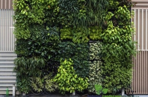 Những vị trí nào nên đặt tường cỏ nhân tạo cho không gian thêm xanh? Những vị trí nào nên đặt tường cỏ nhân tạo cho không gian thêm xanh?