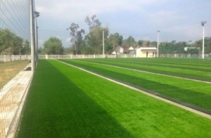 Đầu tư cỏ nhân tạo cho sân bóng và những điều cần nắm rõ Đầu tư cỏ nhân tạo cho sân bóng và những điều cần nắm rõ