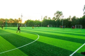 Làm sân bóng đá mini liệu có cần quy trình? Làm sân bóng đá mini liệu có cần quy trình?