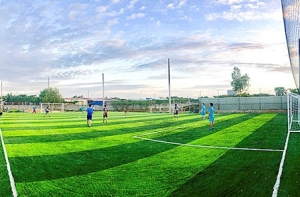 Tổng hợp 3 loại hình kinh doanh cỏ nhân tạo thu hút tăng lợi nhuận tốt Tổng hợp 3 loại hình kinh doanh cỏ nhân tạo thu hút tăng lợi nhuận tốt