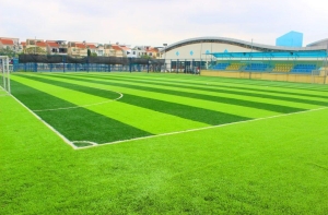 Đầu tư sân bóng cỏ nhân tạo và những điều cần chuẩn bị Đầu tư sân bóng cỏ nhân tạo và những điều cần chuẩn bị