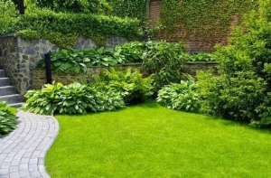 Kinh nghiệm chọn cỏ nhân tạo trang trí sân vườn Kinh nghiệm chọn cỏ nhân tạo trang trí sân vườn