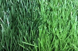 Một số loại sợi thông dụng của cỏ nhân tạo Một số loại sợi thông dụng của cỏ nhân tạo