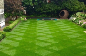 Trên thị thường mua cỏ nhân tạo ở đâu rẻ nhất Trên thị thường mua cỏ nhân tạo ở đâu rẻ nhất