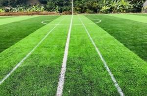 Thiết kế sân bóng cỏ nhân tạo mang lại lợi ích gì? Thiết kế sân bóng cỏ nhân tạo mang lại lợi ích gì?