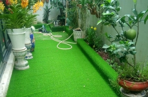 Lợi ích của cỏ nhân tạo sân vườn mang lại là gì? Lợi ích của cỏ nhân tạo sân vườn mang lại là gì?