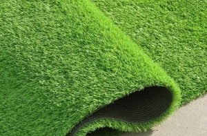 Những yếu tố cần quan tâm khi mua cỏ nhân tạo là gì? Những yếu tố cần quan tâm khi mua cỏ nhân tạo là gì?