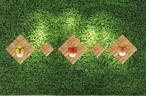 Các loại cỏ nhân tạo dán tường phổ biến nhất hiện nay Các loại cỏ nhân tạo dán tường phổ biến nhất hiện nay