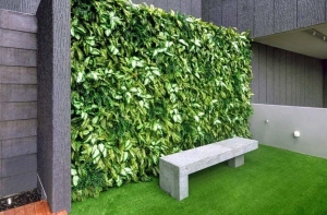 Nét độc đáo đặc biệt của cỏ nhân tạo dán tường hiện nay Nét độc đáo đặc biệt của cỏ nhân tạo dán tường hiện nay