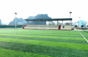 Mách bạn cách bảo dưỡng cỏ nhân tạo sân bóng hiệu quả Mách bạn cách bảo dưỡng cỏ nhân tạo sân bóng hiệu quả