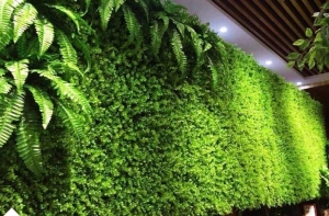 Cỏ nhân tạo dán tường có những ưu điểm gì? Cỏ nhân tạo dán tường có những ưu điểm gì?