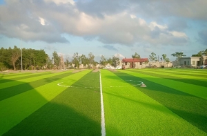 Cỏ nhân tạo sân bóng nhanh bị hỏng do đâu? Cỏ nhân tạo sân bóng nhanh bị hỏng do đâu?