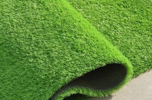 Khi mua cỏ nhân tạo cần quan tâm đến những yếu tố nào? Khi mua cỏ nhân tạo cần quan tâm đến những yếu tố nào?