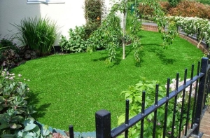 Làm gì để bãi cỏ nhân tạo sân vườn luôn tươi xanh? Làm gì để bãi cỏ nhân tạo sân vườn luôn tươi xanh?