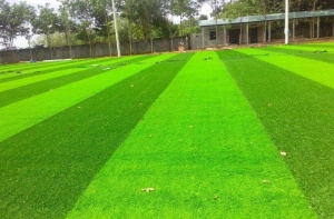 Khi nghiệm thu sân bóng cỏ nhân tạo cần phải lưu ý những gì? Khi nghiệm thu sân bóng cỏ nhân tạo cần phải lưu ý những gì?