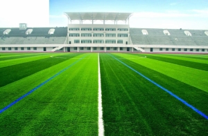 Tìm hiểu về kích thước sân bóng cỏ nhân tạo 11 người Tìm hiểu về kích thước sân bóng cỏ nhân tạo 11 người