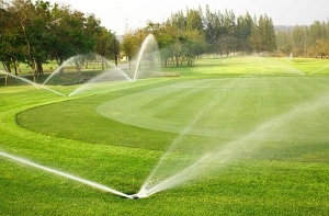 Cách chọn cỏ nhân tạo chất lượng cho sân golf Cách chọn cỏ nhân tạo chất lượng cho sân golf