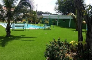 Cỏ nhân tạo cho hồ bơi và những điều bạn cần biết Cỏ nhân tạo cho hồ bơi và những điều bạn cần biết